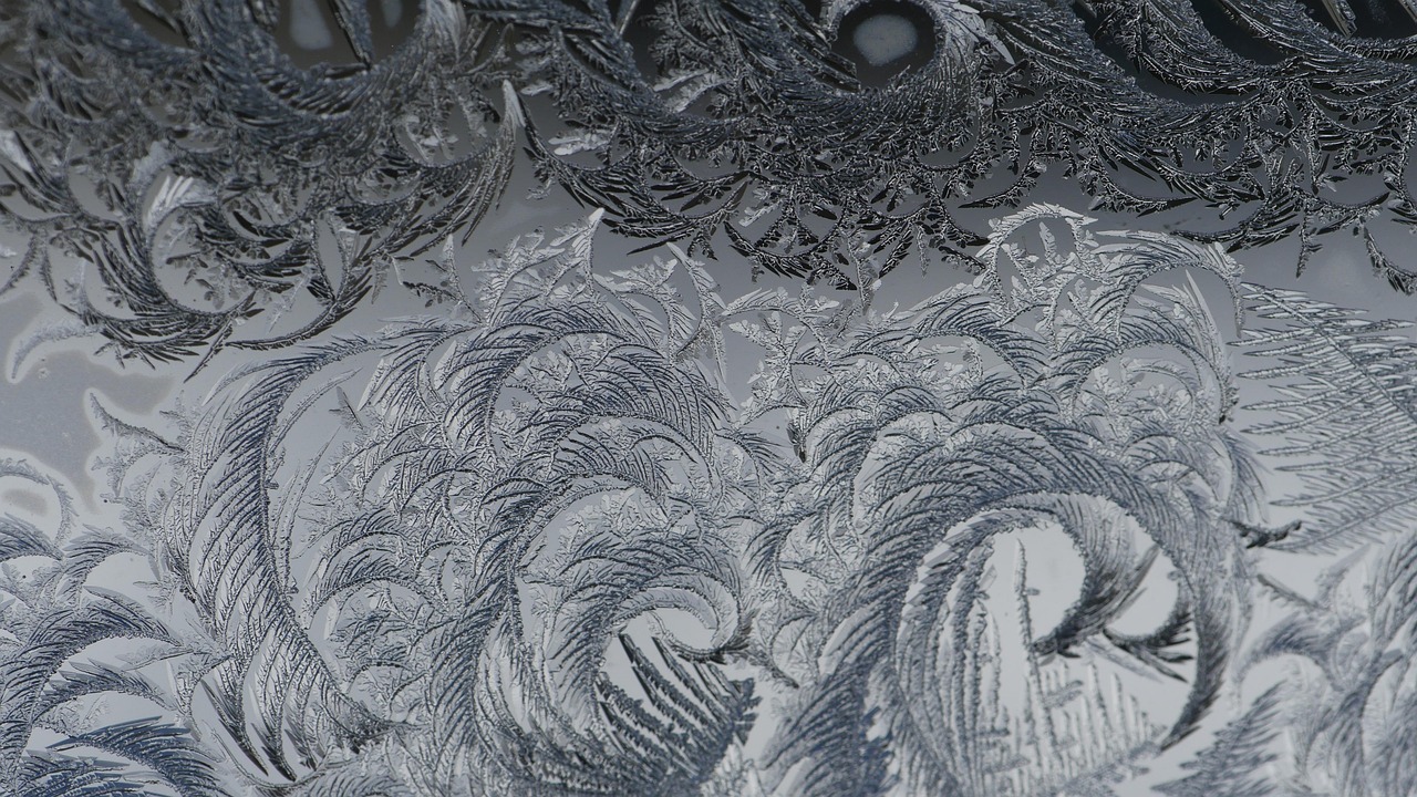 Close-up van decoratieve raamfolie met bloemenpatroon.