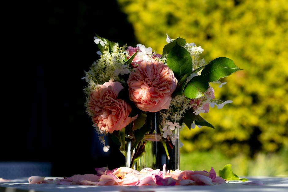 Roze en geel harmonieuze zomertuin bloemen.